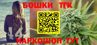 индика Боровичи