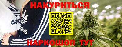 индика Боровичи