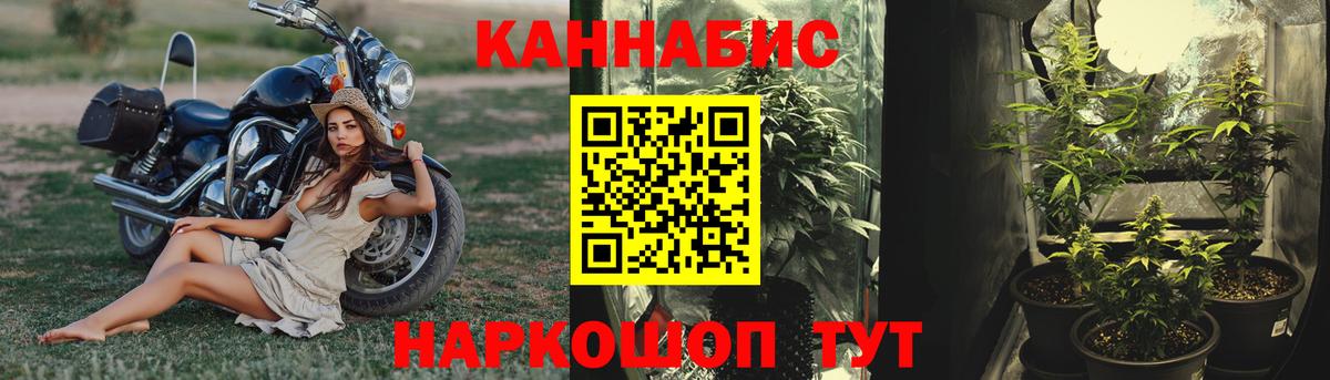 Конопля Великий Устюг